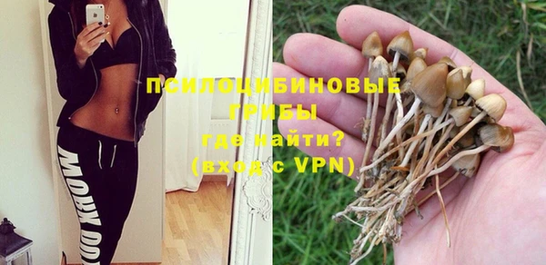 герыч Алексеевка